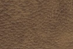 31901-swatch-body-a